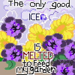 MELT ICE